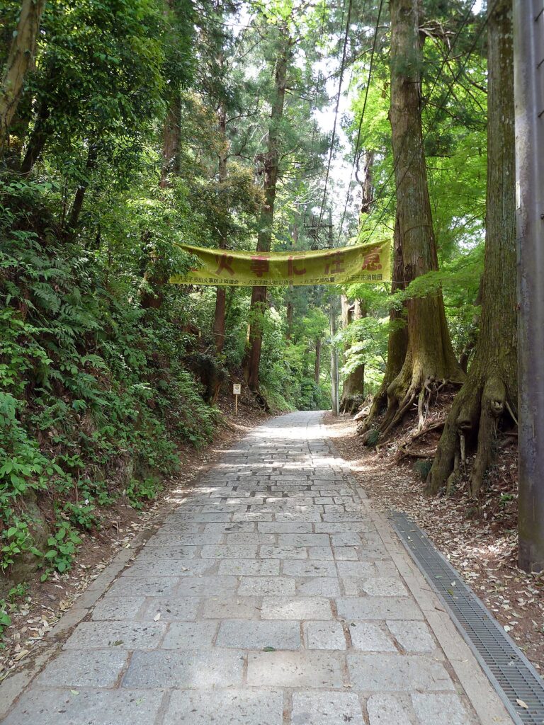 Japan hiking guide: trail at mount takao
